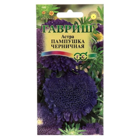 Flower seeds Astra pampushka is blueberry, pomponal, o, 0.3 g
