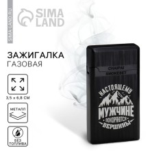Gas lighter 