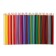 Pencils 36 Lion flowers