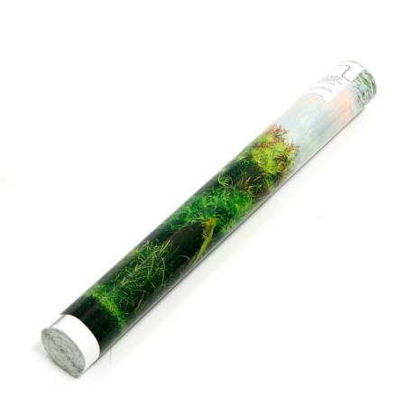 Background for aquarium, 30 cm, roll 25 m-1