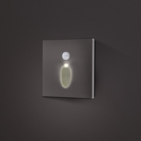 Built-in lamp for the stairs, NL-38, engine sensor, 1.5 W, 60 lm, 3000k, silver-1