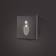 Built-in lamp for the stairs, NL-38, engine sensor, 1.5 W, 60 lm, 3000k, silver