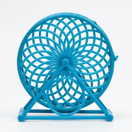 Rodent wheel on the base, plastic, 12.5 cm, blue-2