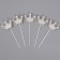 Set for decoration "Crown", set 5 pcs