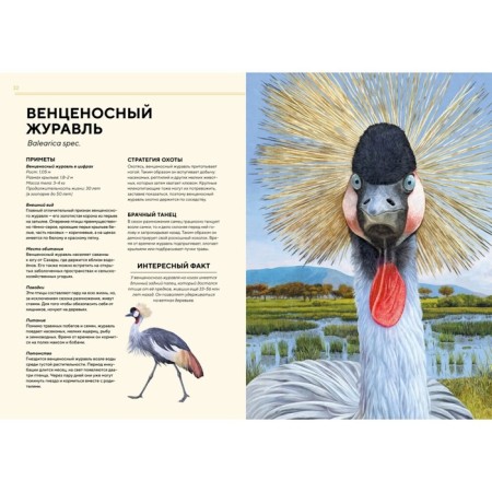 African animals are in full -size. Haag H.-4