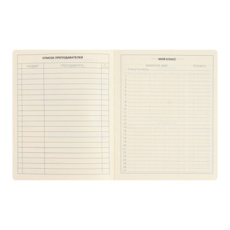 School diary for grades 1-11 Schoolmix. Koala, hard cover, artificial leather, with foam, liesse, 48 sheets, tinted block 70g/m2-3