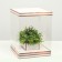 Box for flowers with a vase and PVC windows are folding, bronze, 23 x 30 x 23 cm