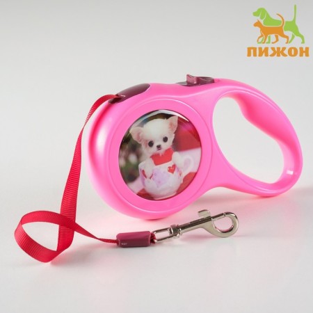 Roulette with a print "cutie", 3 m, animal weight up to 12 kg, pink