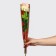 Package for the colors of the "most beautiful", red, 12 x 4 x 44.5 cm