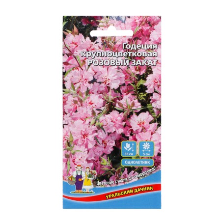 Flower seeds Godegia large -flowered "pink sunset", 0, 1 g,