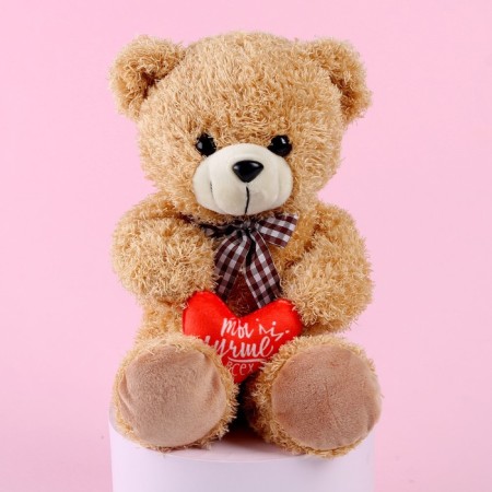 Soft toy "You are the best", bear, Mix color-1