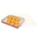 Box for cookies, "delicate holiday" 22 x 15 x 3 cm