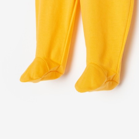Classes are children, yellow color, height 62 cm-1