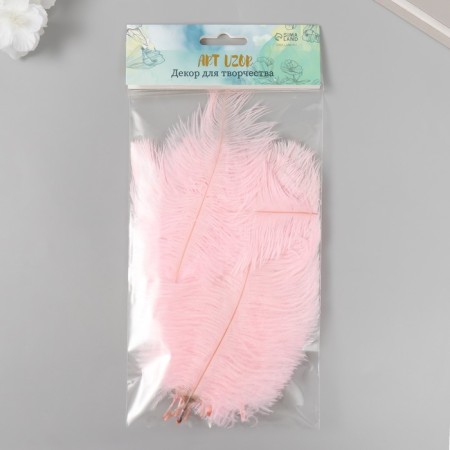 Decorative ostriches "Pink marshmallow" h = 15-20 cm-2