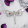 Brooch "Dragonfly" morning, colored in silver