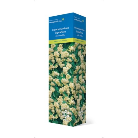 Dorenbozi Snowman "White Hage", tube, 1 pc, spring 2025