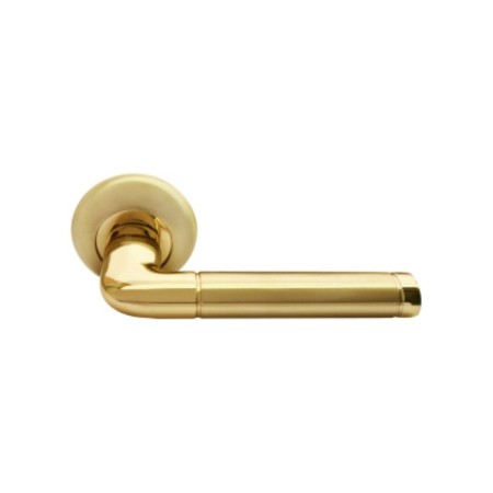Door handle Rucetti Rap 2 SG/GP, matte gold/gold-1