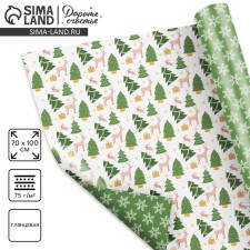 Paper packing glossy bilateral 