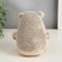 Growing gift Eco -Zhizhivchik "White Bear" mix