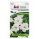 Petunia flowers "Luciana", F1, cascaded, white, 5 pcs