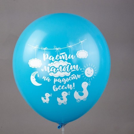 Shar Latex 12 "Newborn. Boy", silk-screen printing, 2-hand, 5 designs, set 25 pcs., Mix-11