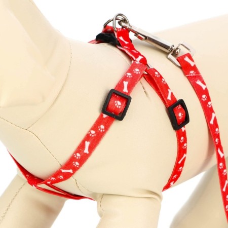 Set "Classic", Kapron, leash 120 x 1 cm, fire 21-35 cm, red-2