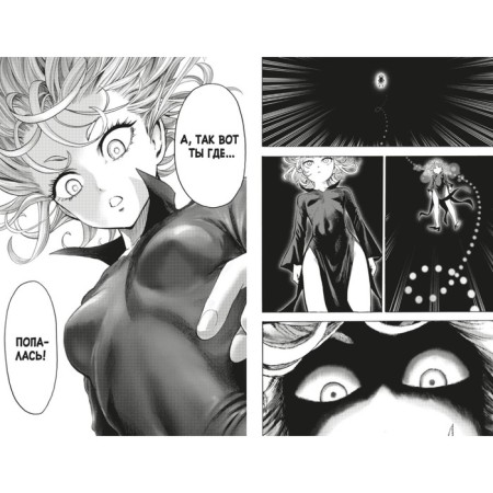 One-Punch Man 13. Book 24-25. Technory. Unknown power. One-3