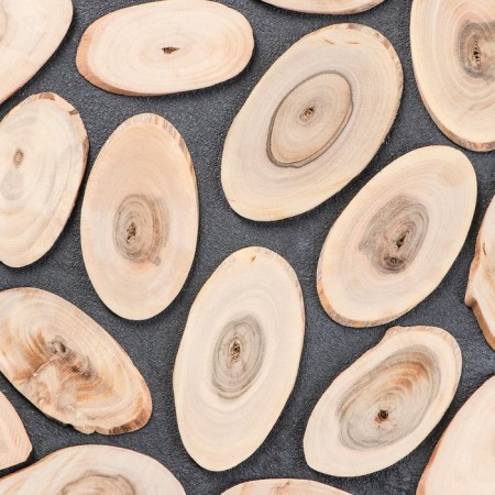 Saw a tree "walnut", oval, d = 4-12cm, h = 3.5 mm-2