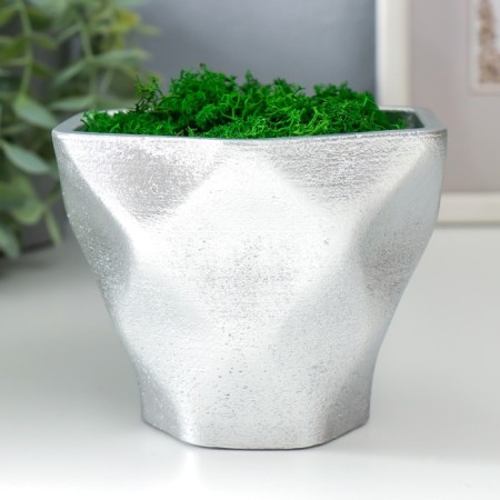 Kashpo concrete "Fantasy" Height 9 cm silver with moss (moss green stabilized)