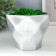 Kashpo concrete "Fantasy" Height 9 cm silver with moss (moss green stabilized)