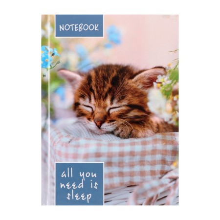 Notepad A6, 64 sheets in the Sonya cage, solid cover, offset unit