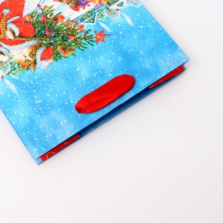 Gift package "Santa Claus with gifts", 18 x 22.3 x 10 cm-2