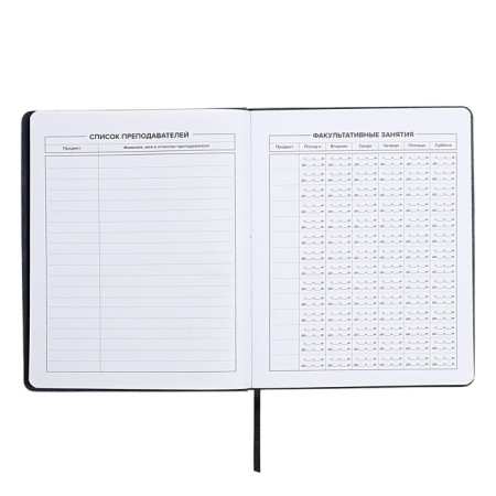 School diary for grades 1-11, fiery dragon, solid cover, artificial leather, application, pancake embossing, foil embossing, universal cheat sheet, 48 sheets, block 80g/m2-6