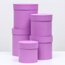 Set of hats 5 in 1 “purple”, 20 x 20-13 x 13 cm