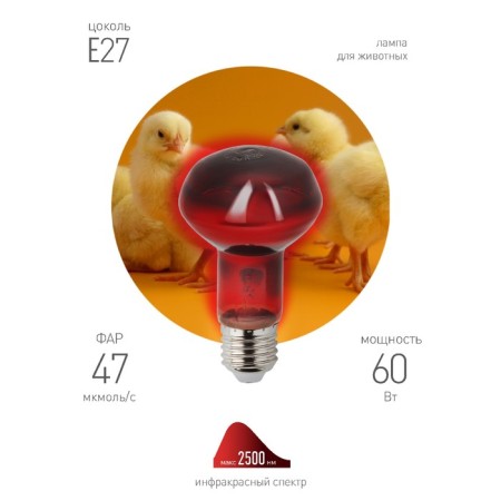 Infrared lamp for heating animals, era, IKZK 230-60 R63, E27, 60 watts-3