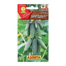 Seeds of cucumber 