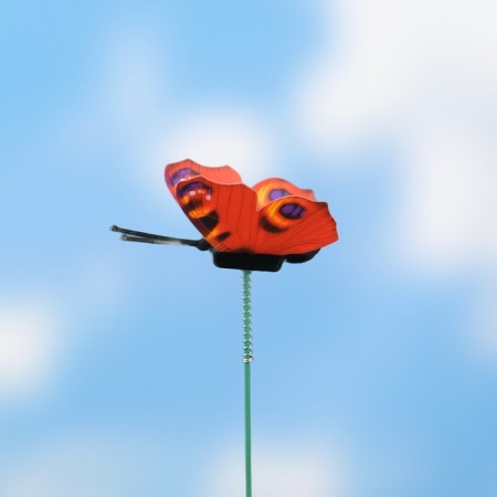 Plug "butterfly Maybl" 4cm/27cm, mix-2