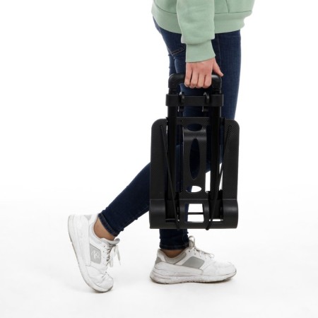 Folding cart for purchases and baggage, up to 30 kg, 250 × 330 × 445 (960) mm, plastic/aluminum-6