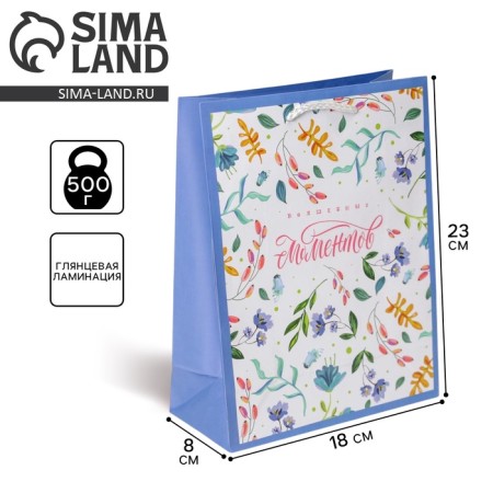 Gift Package Laminated, Packaging, Best Wishes, MS 18 x 23 x 8 cm