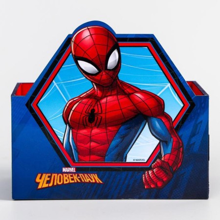 Organizer for the office, 15x10x8 cm, Spider-Man-2