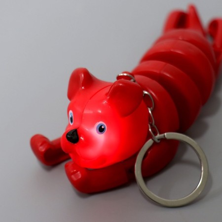 Developing toy "dog" light on a keychain, color mix-3
