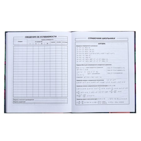 Universal Grade 1-11 Diary, 48 Graffiti sheets, integral cover, matte lamination, selective UV-fluid, congructor-8