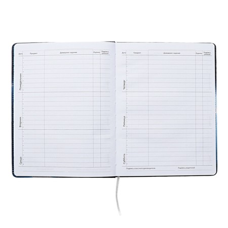 Universal diary for grade 1-11 Football Time, solid cover, artificial leather, foam rubber, liesse, 80 g/m2-8