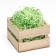 Filler with silence "grass", mix, 50 g