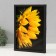 Open "sunflower" 5 hooks, 23x32 cm