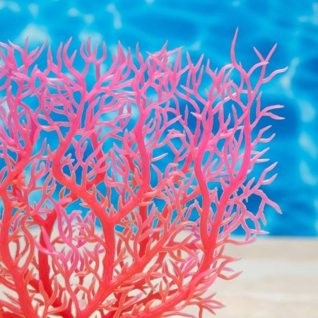 The artificial aquarium, luminous plant, 15 cm, red-2