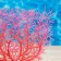 The artificial aquarium, luminous plant, 15 cm, red