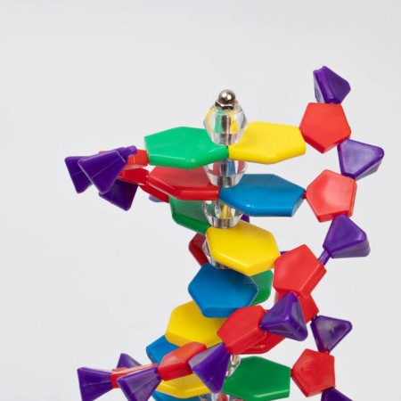 Layout "Building of the DNA molecule", 45cm-3