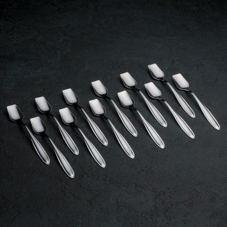 Spoon for ice cream "Beagge", h = 14.5 cm, thickness 1 mm, silver color-1