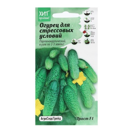 Cucumber seeds "Trust", 7 pcs